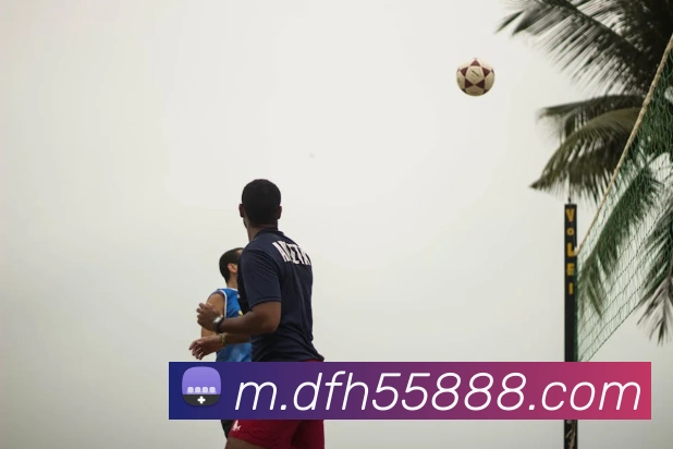 奖项证书